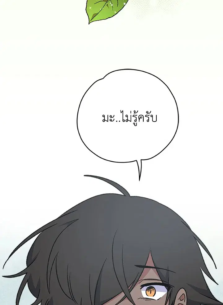 หน้า 67 จาก 114