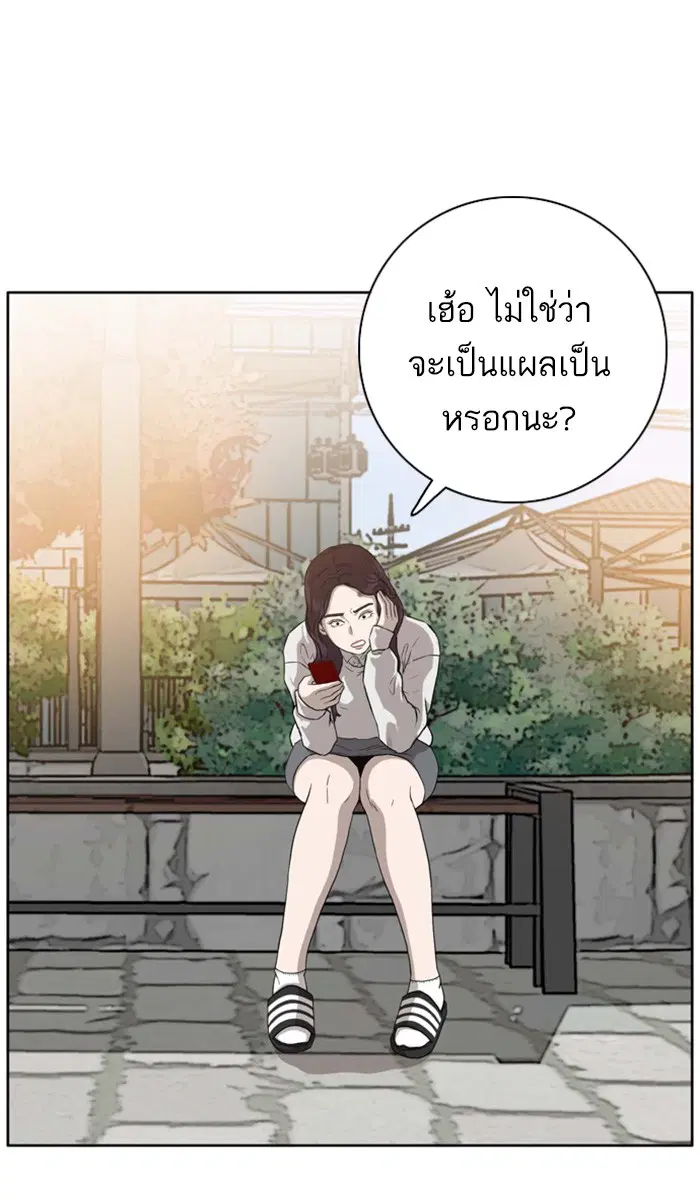 หน้า 3 จาก 144