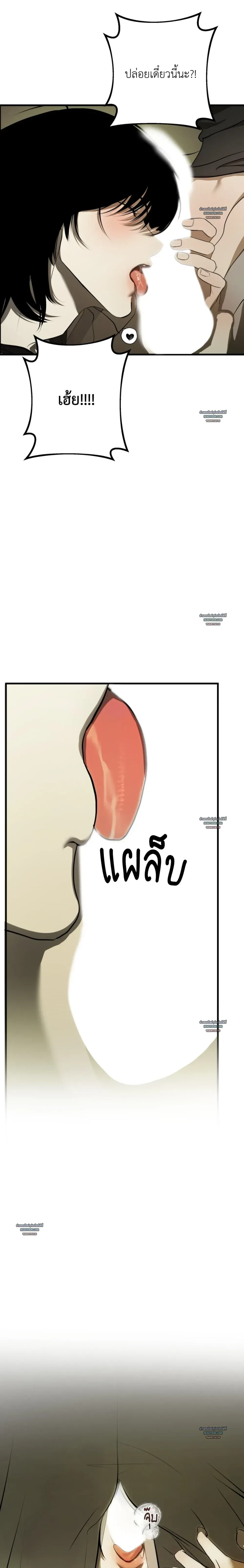 หน้า 31 จาก 41