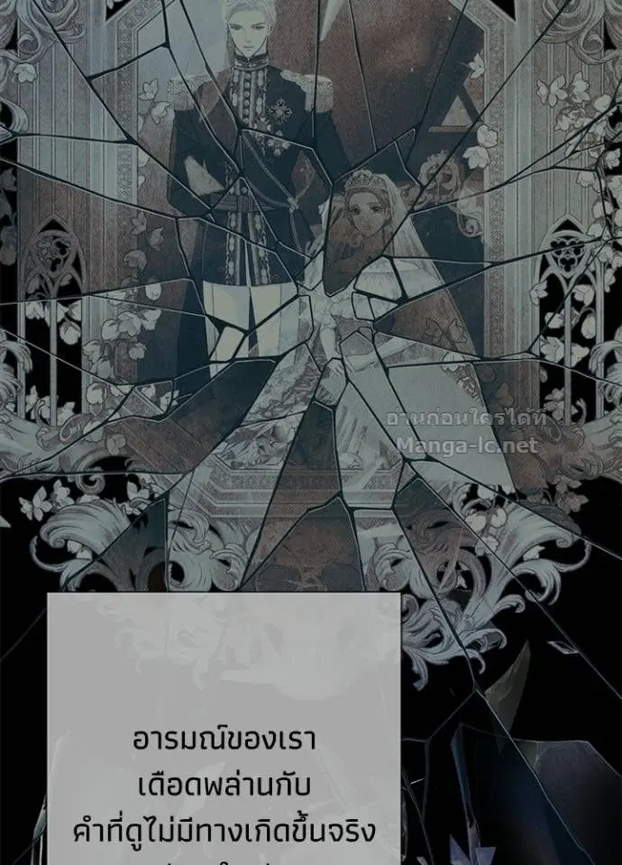 หน้า 42 จาก 144