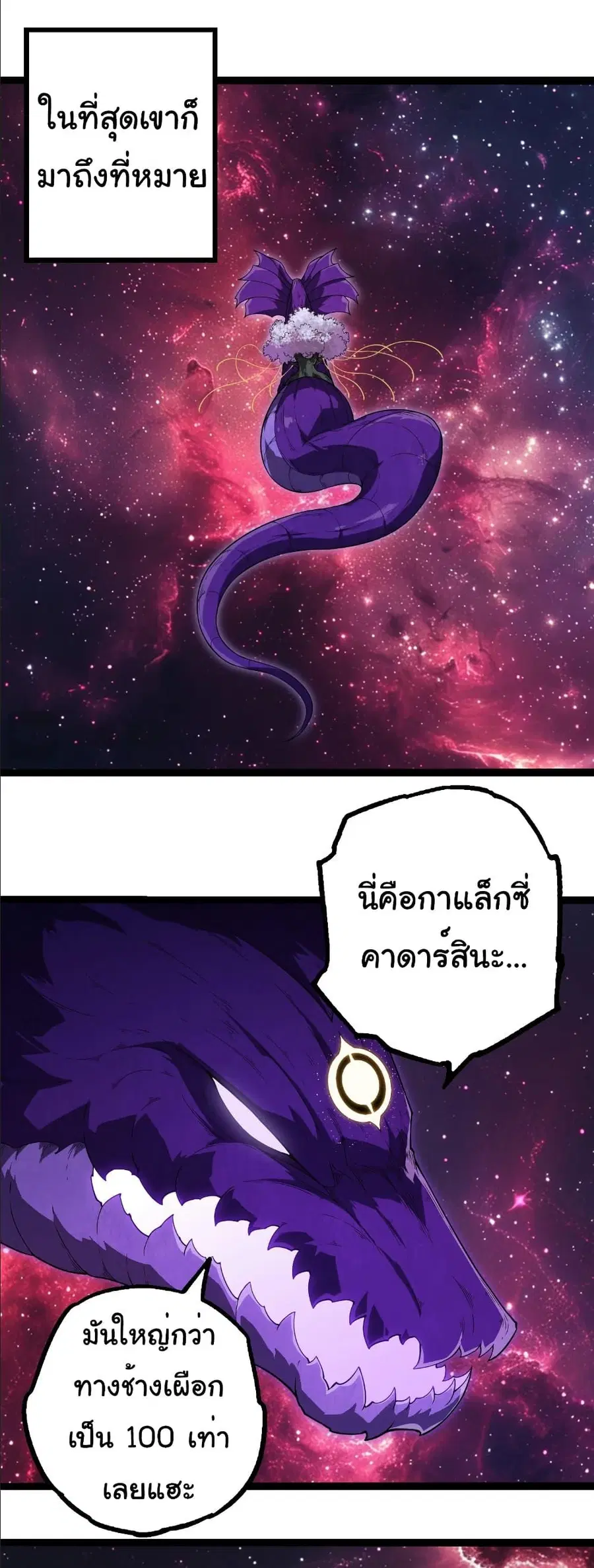 หน้า 17 จาก 31