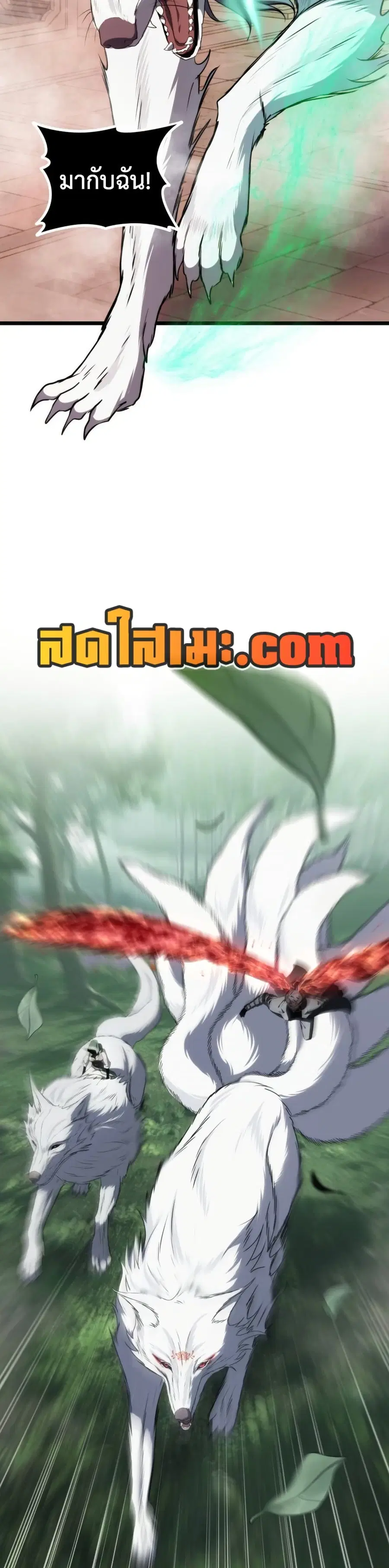 หน้า 48 จาก 50