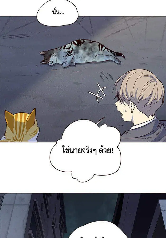 หน้า 96 จาก 98