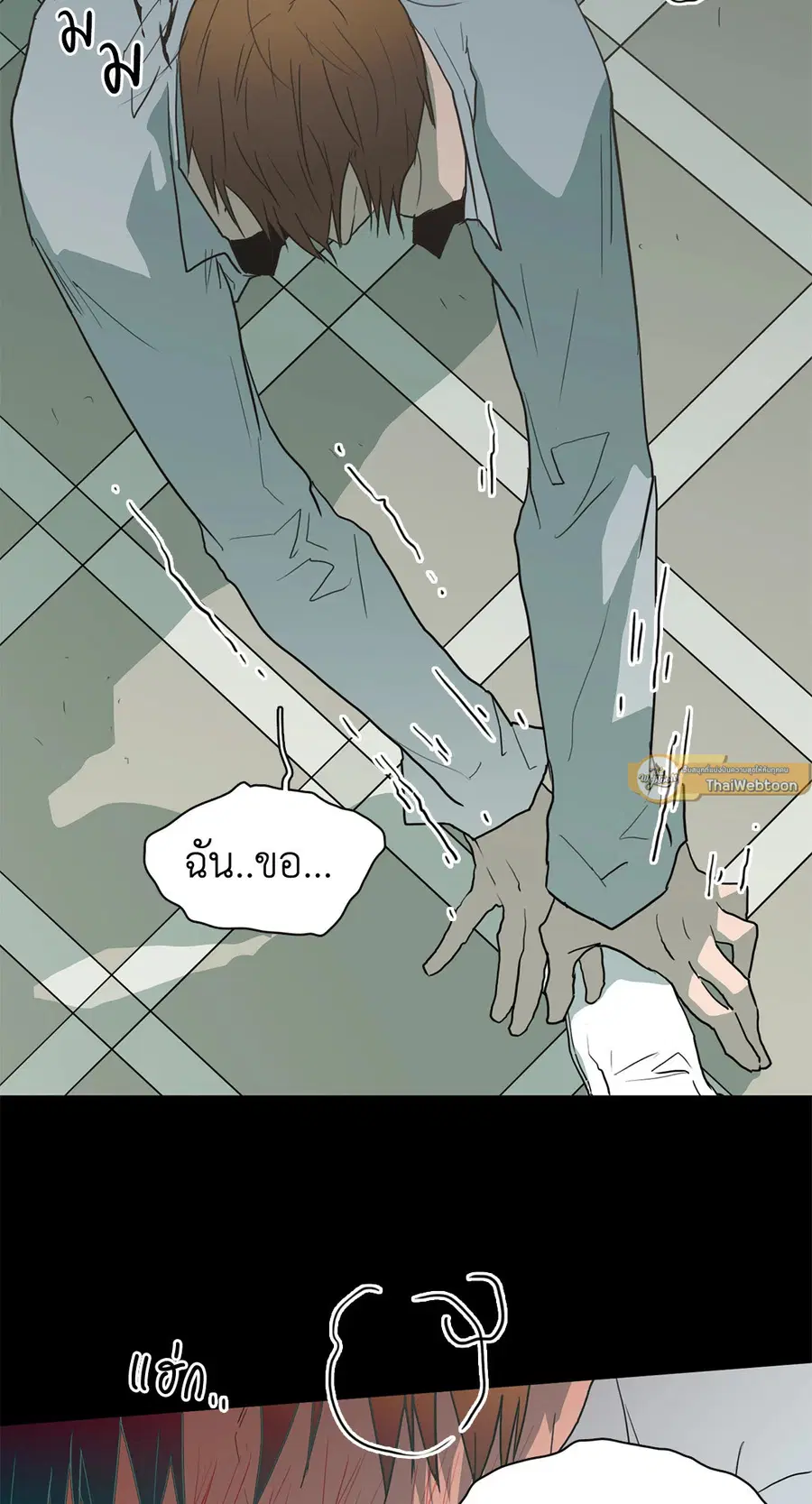 หน้า 51 จาก 84