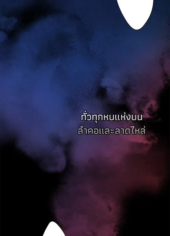 หน้า 5 จาก 162