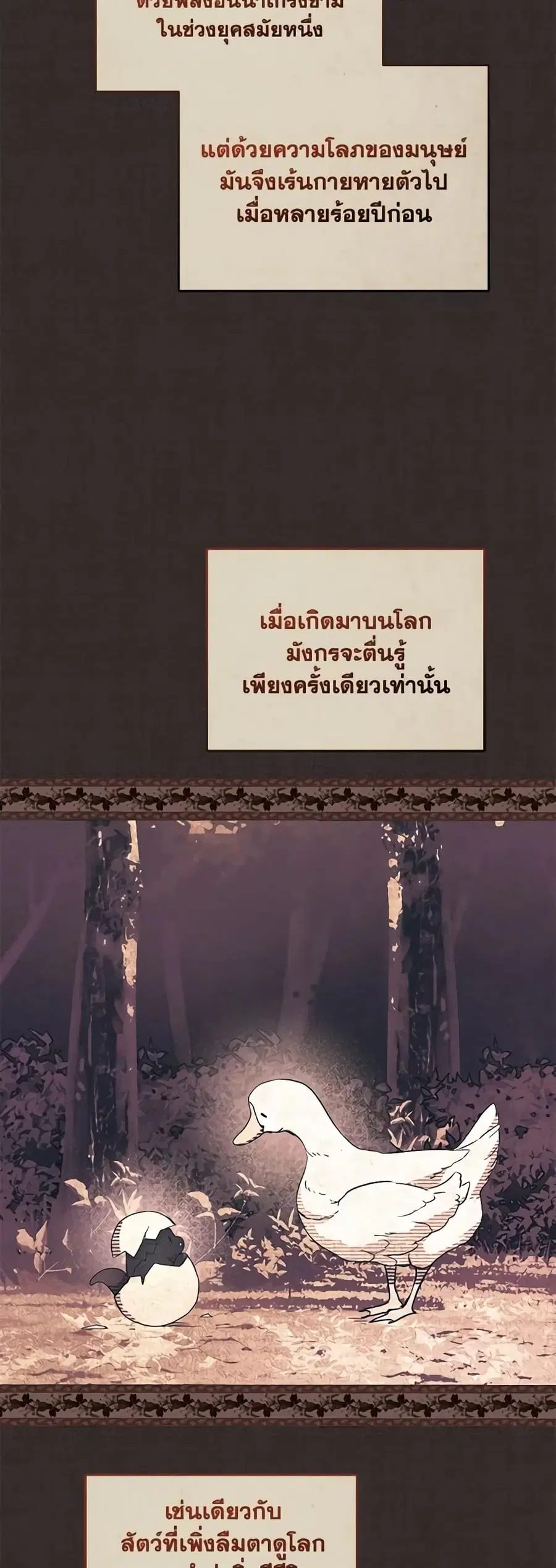หน้า 23 จาก 49