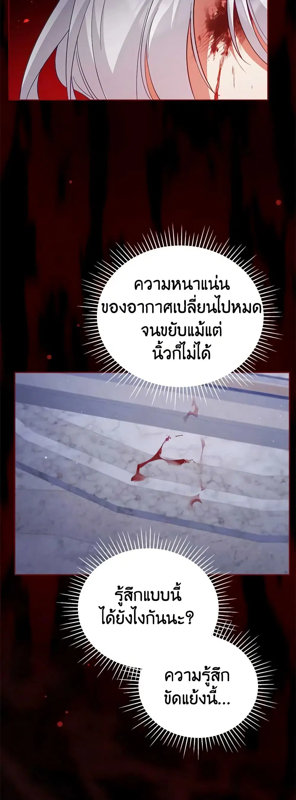 หน้า 13 จาก 47