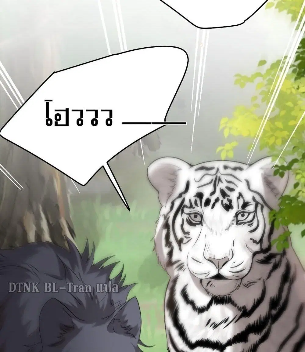 หน้า 13 จาก 52