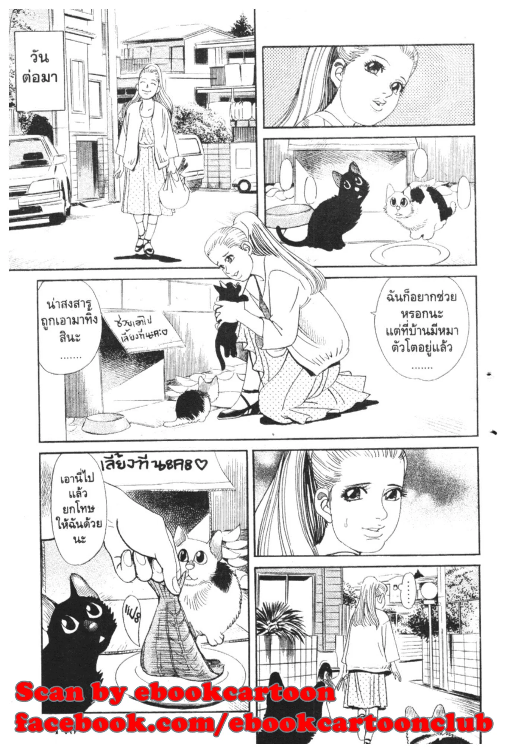 หน้า 4 จาก 20