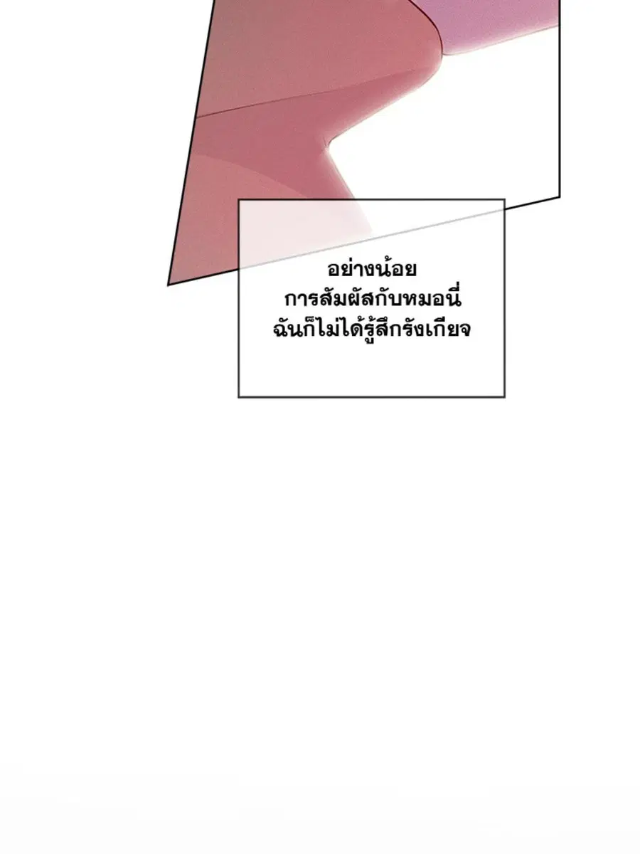 หน้า 50 จาก 126