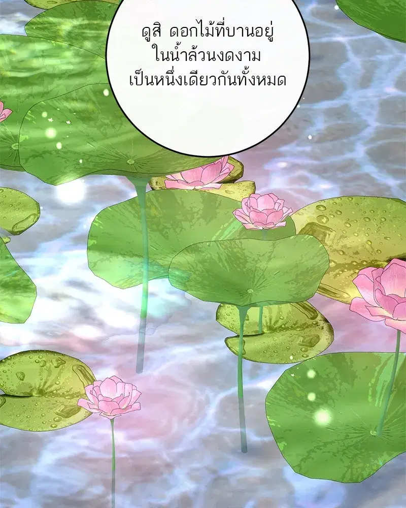 หน้า 82 จาก 137