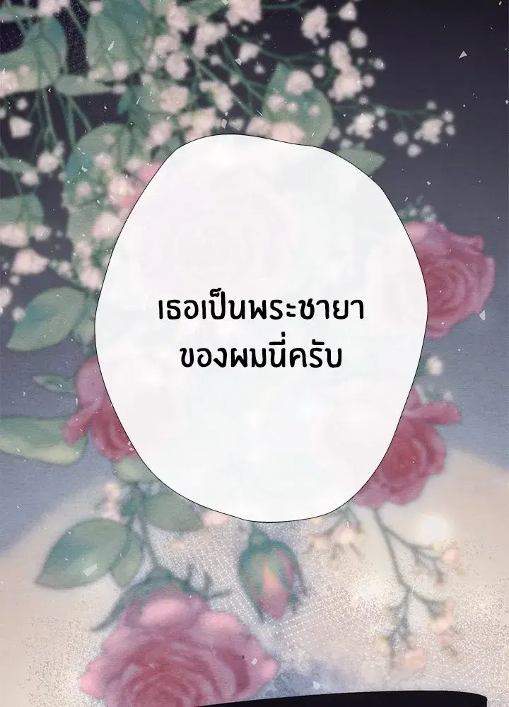 หน้า 26 จาก 150