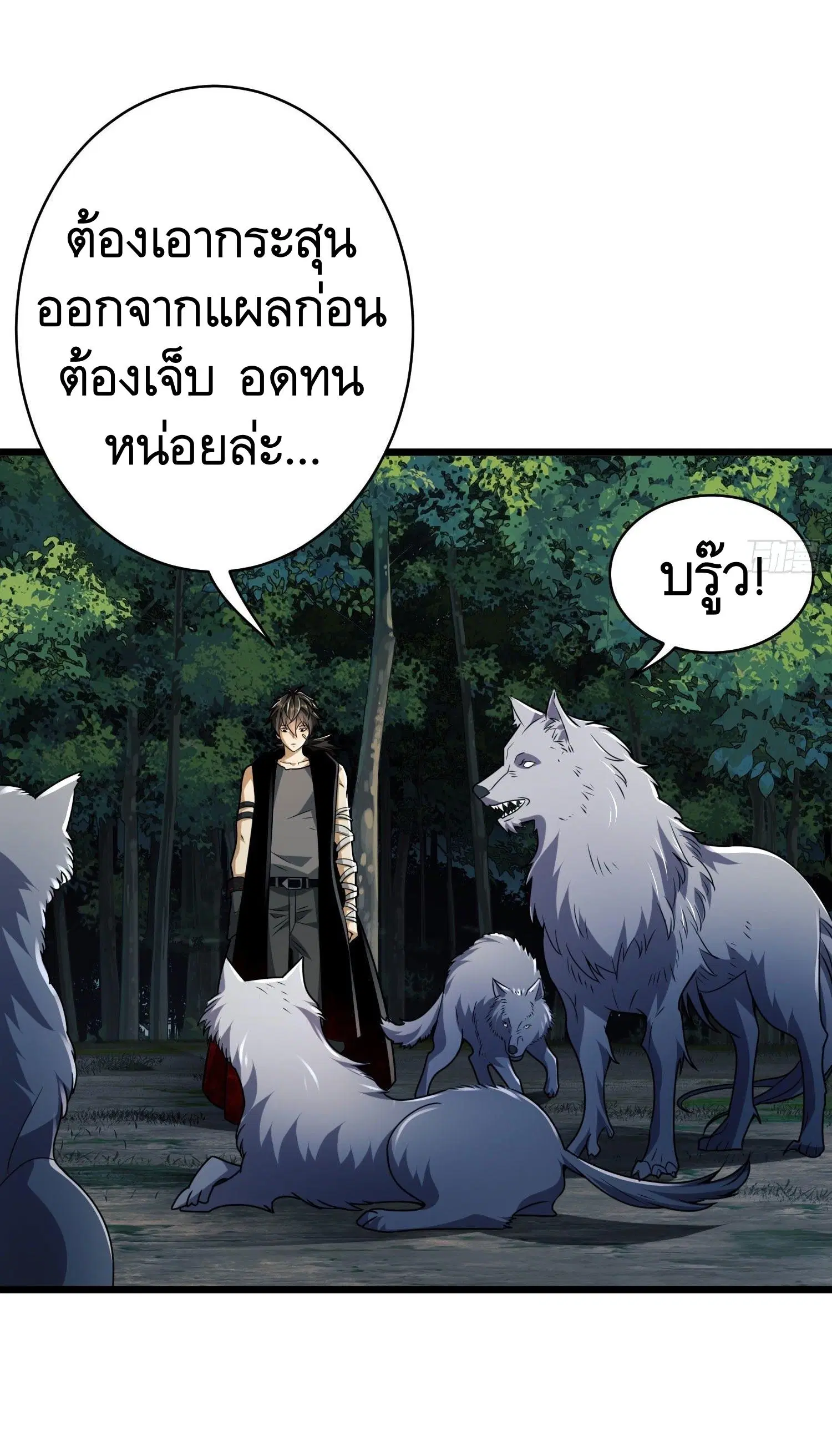 หน้า 32 จาก 55