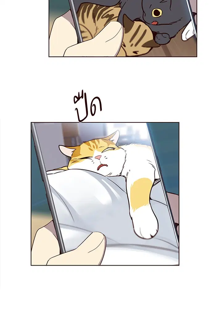 หน้า 17 จาก 111