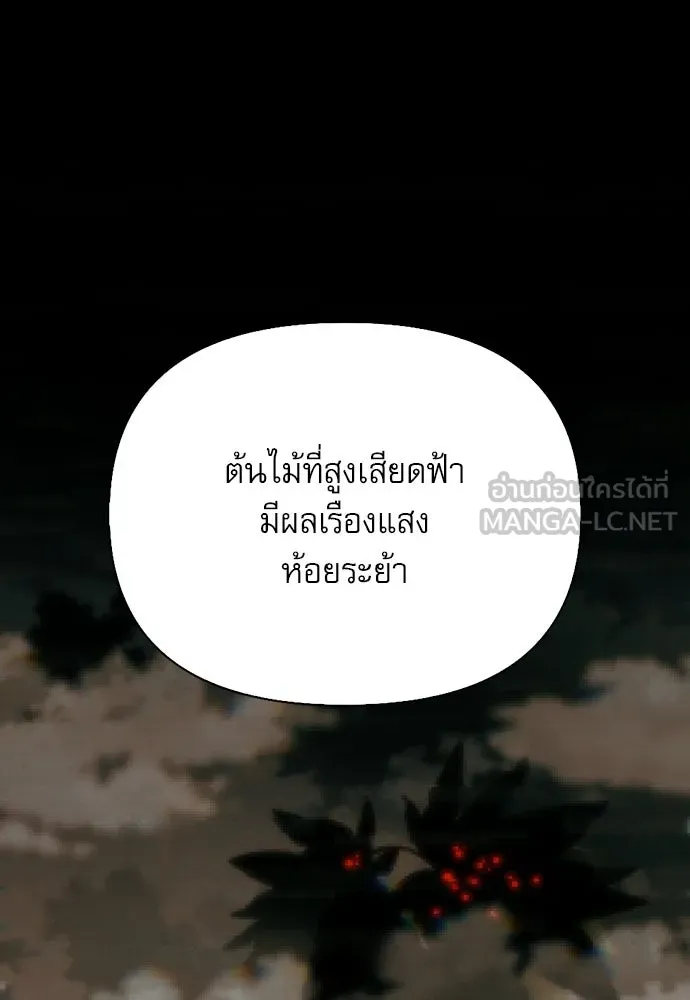 หน้า 48 จาก 166