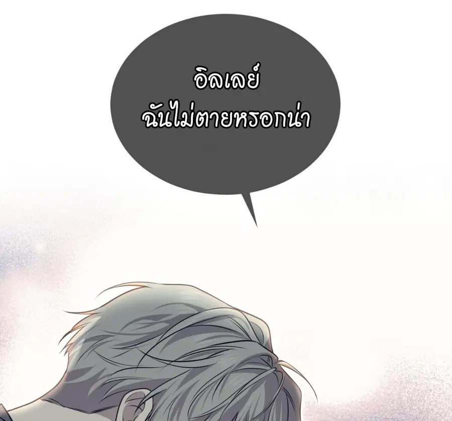 หน้า 120 จาก 190
