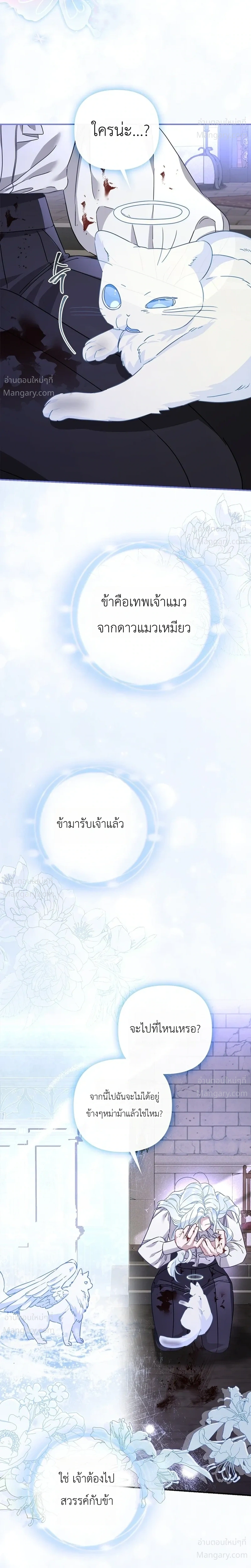 หน้า 17 จาก 36