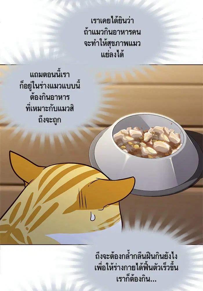 หน้า 11 จาก 63