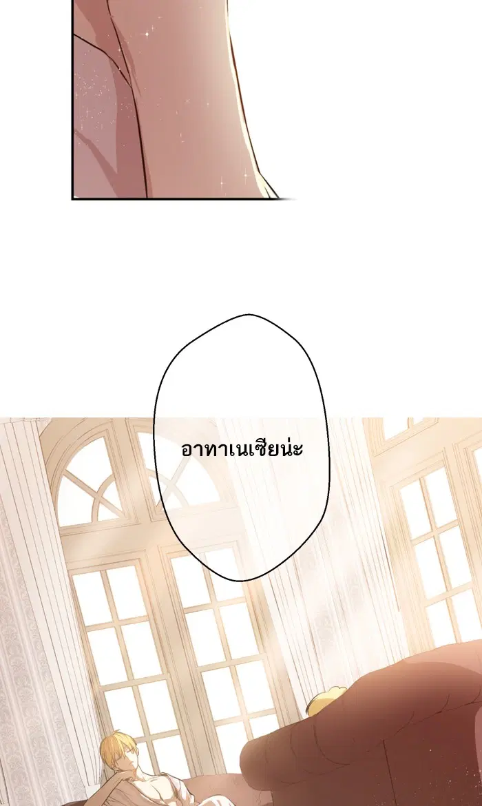 หน้า 28 จาก 66