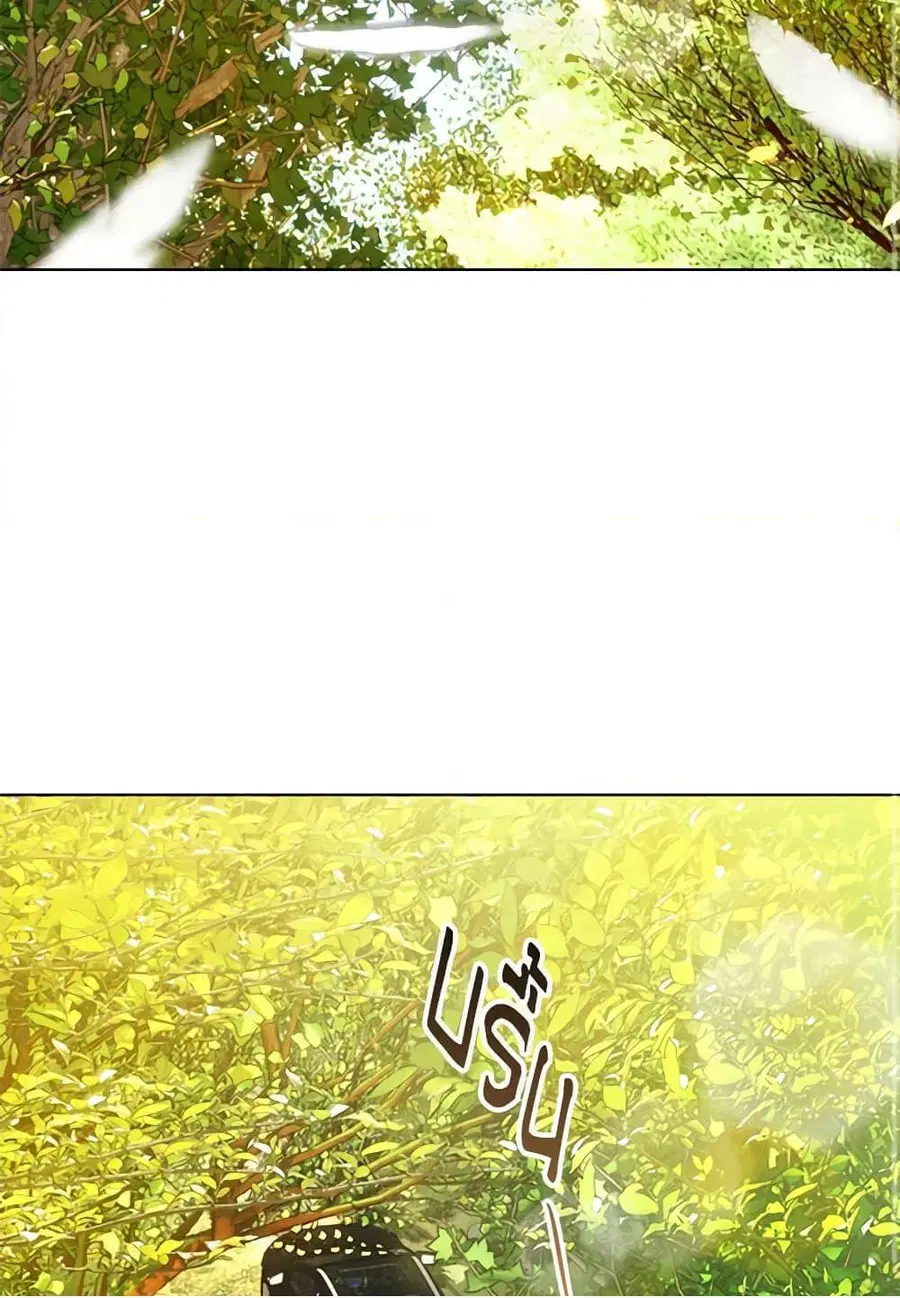 หน้า 3 จาก 101