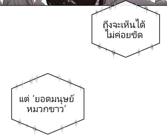 หน้า 80 จาก 146