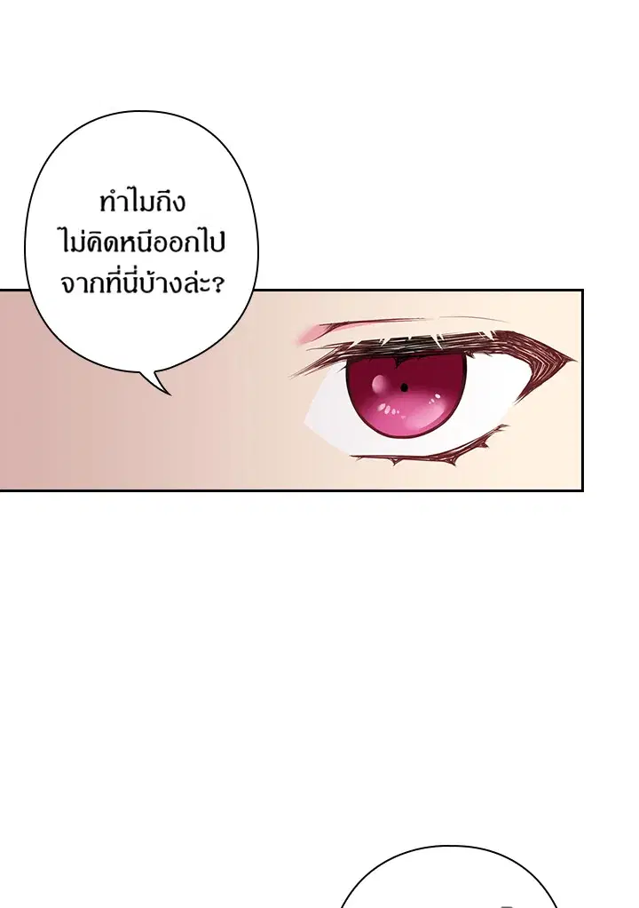 หน้า 16 จาก 62