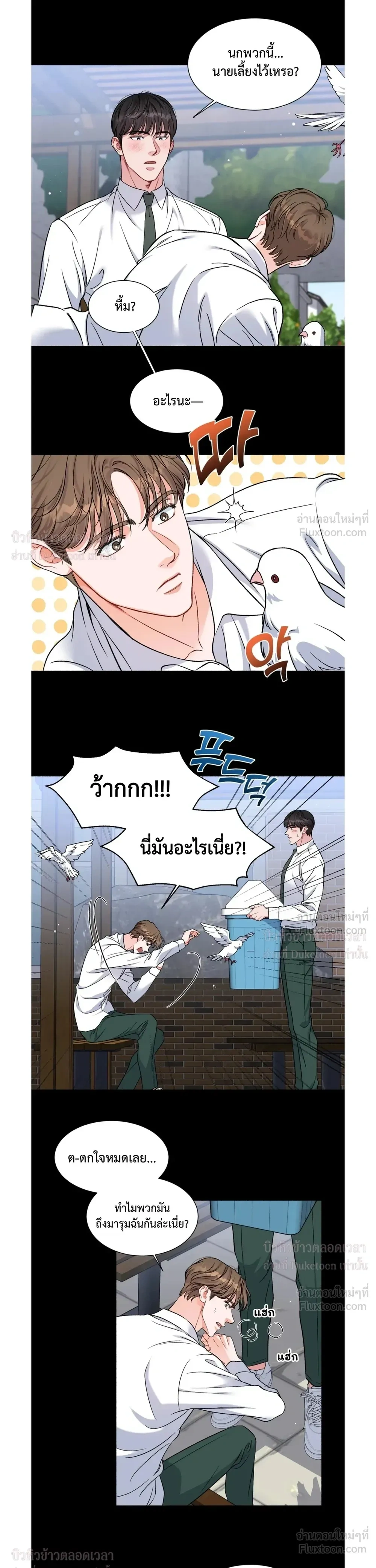 หน้า 4 จาก 17