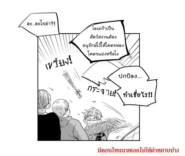 หน้า 6 จาก 38