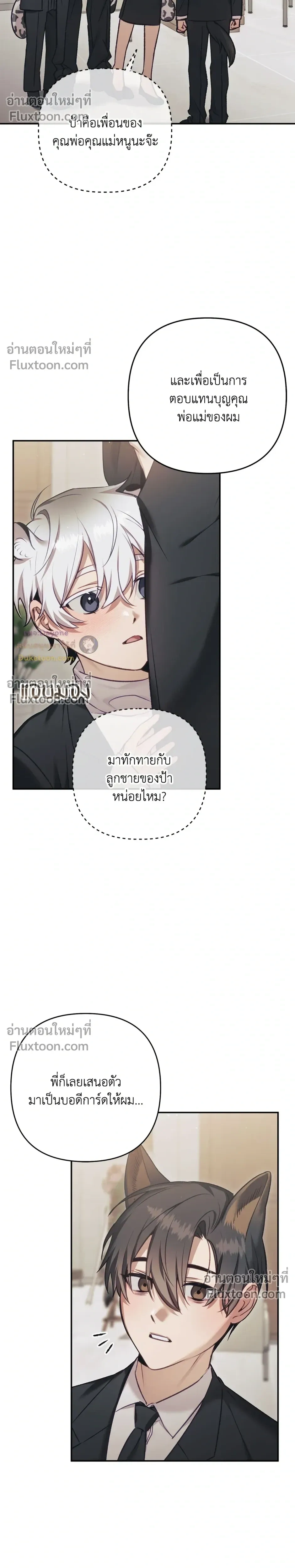 หน้า 17 จาก 28