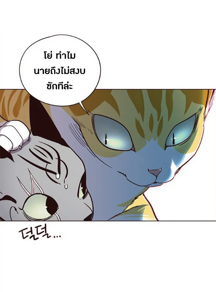 หน้า 34 จาก 80