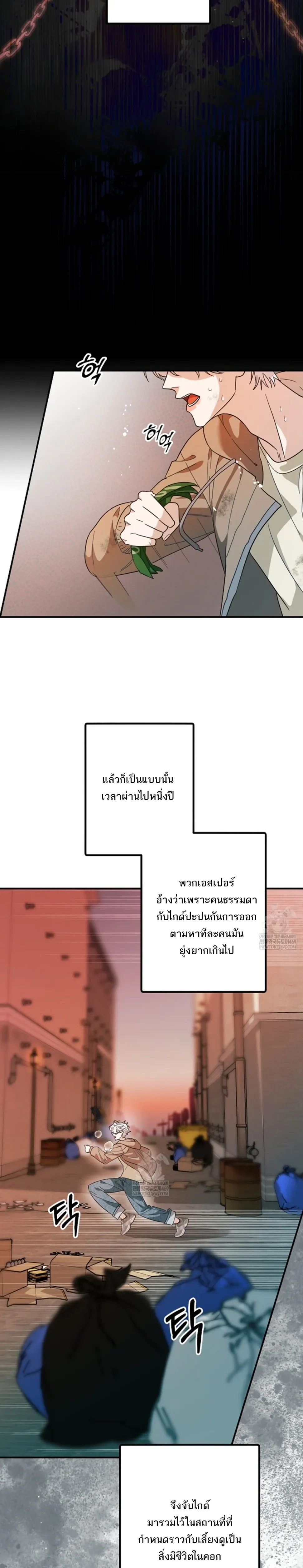 หน้า 7 จาก 36