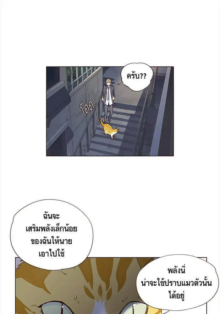 หน้า 50 จาก 98