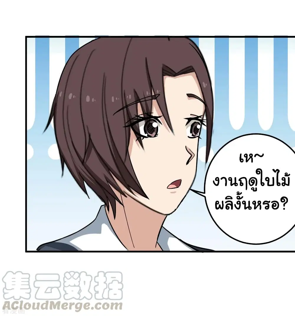 หน้า 33 จาก 37