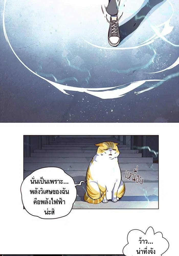 หน้า 62 จาก 98