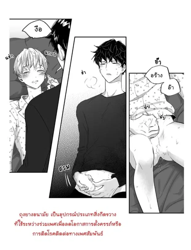 หน้า 22 จาก 41