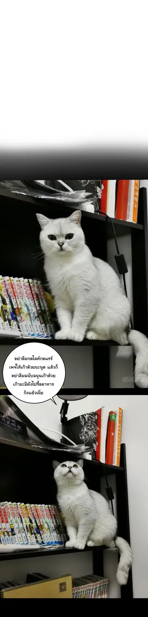 หน้า 36 จาก 39
