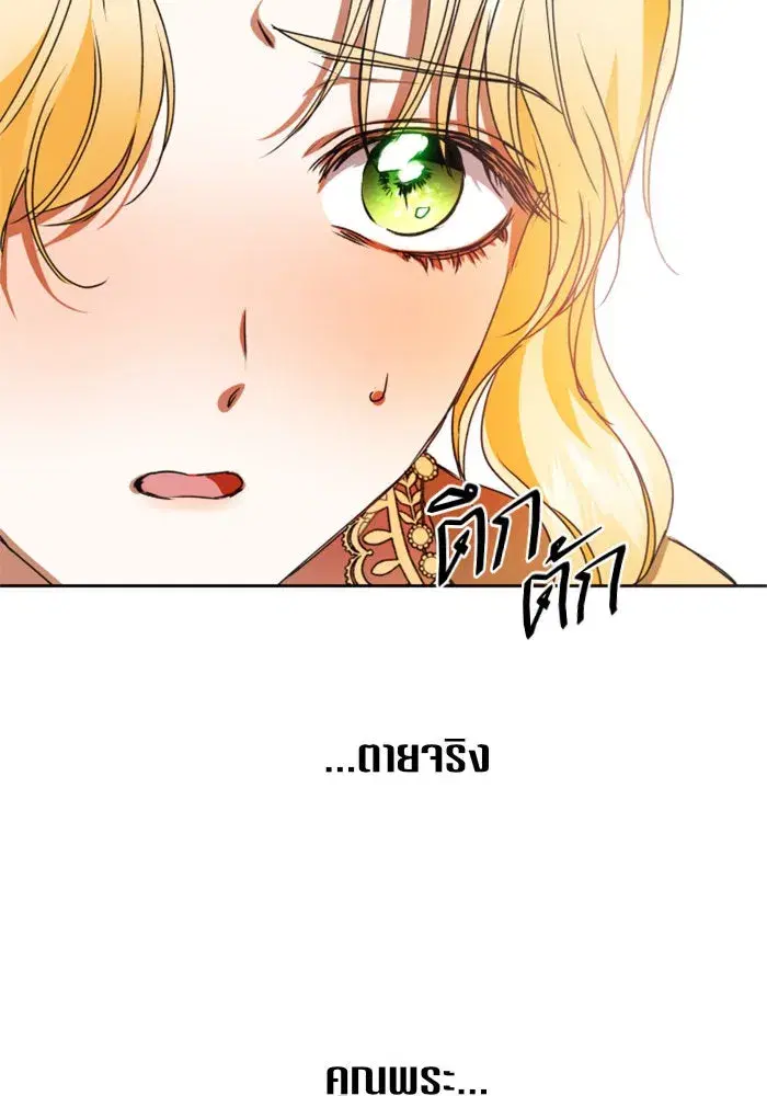 หน้า 113 จาก 142