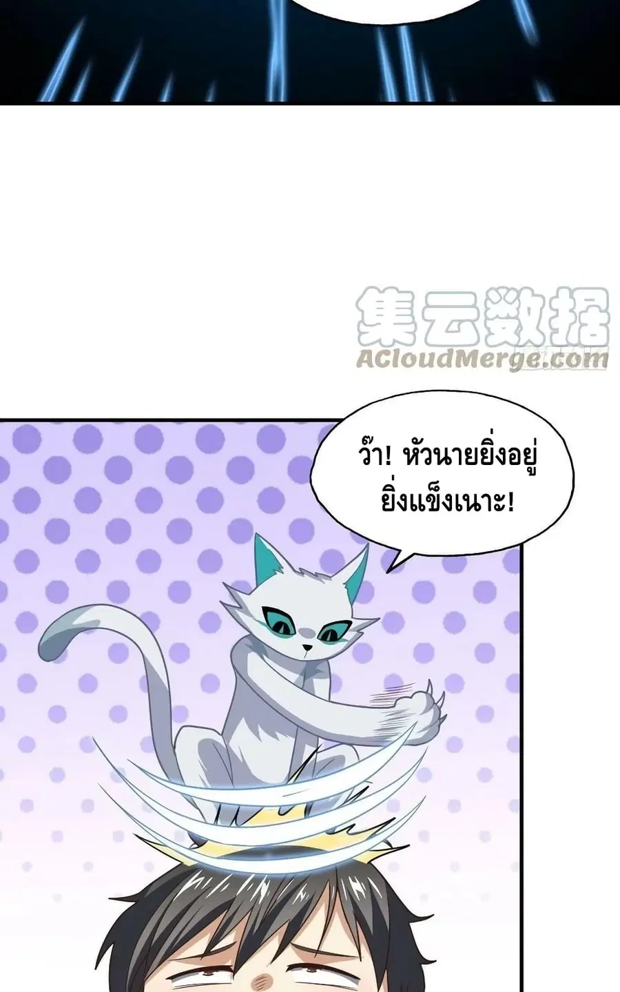 หน้า 43 จาก 52