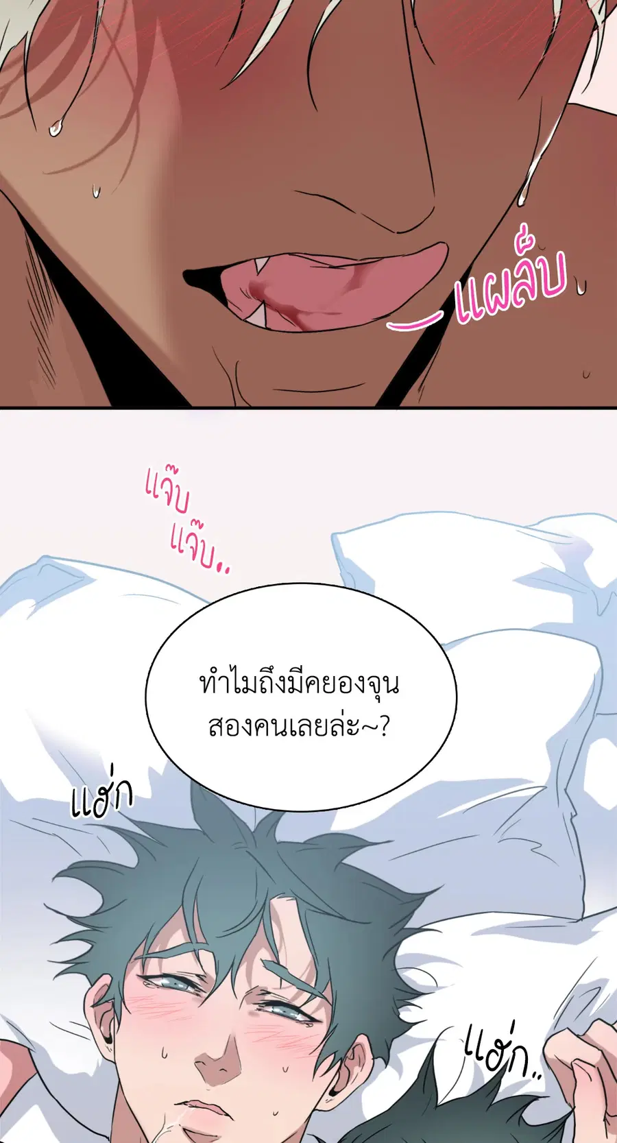 หน้า 31 จาก 102