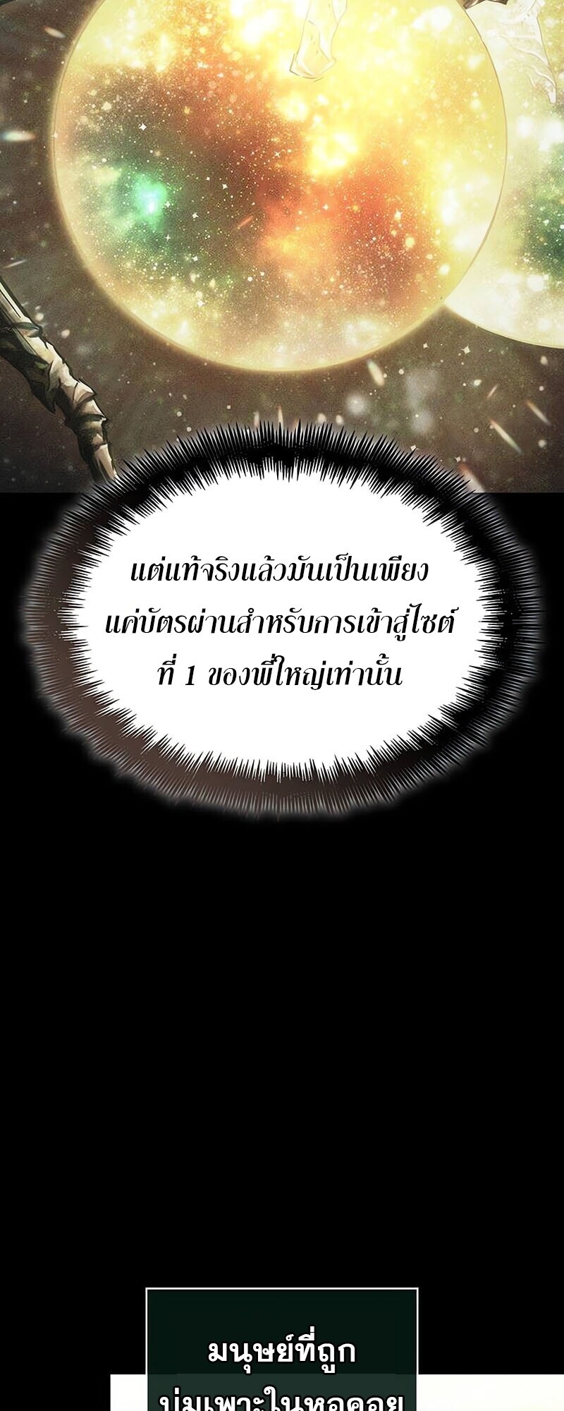 หน้า 24 จาก 77