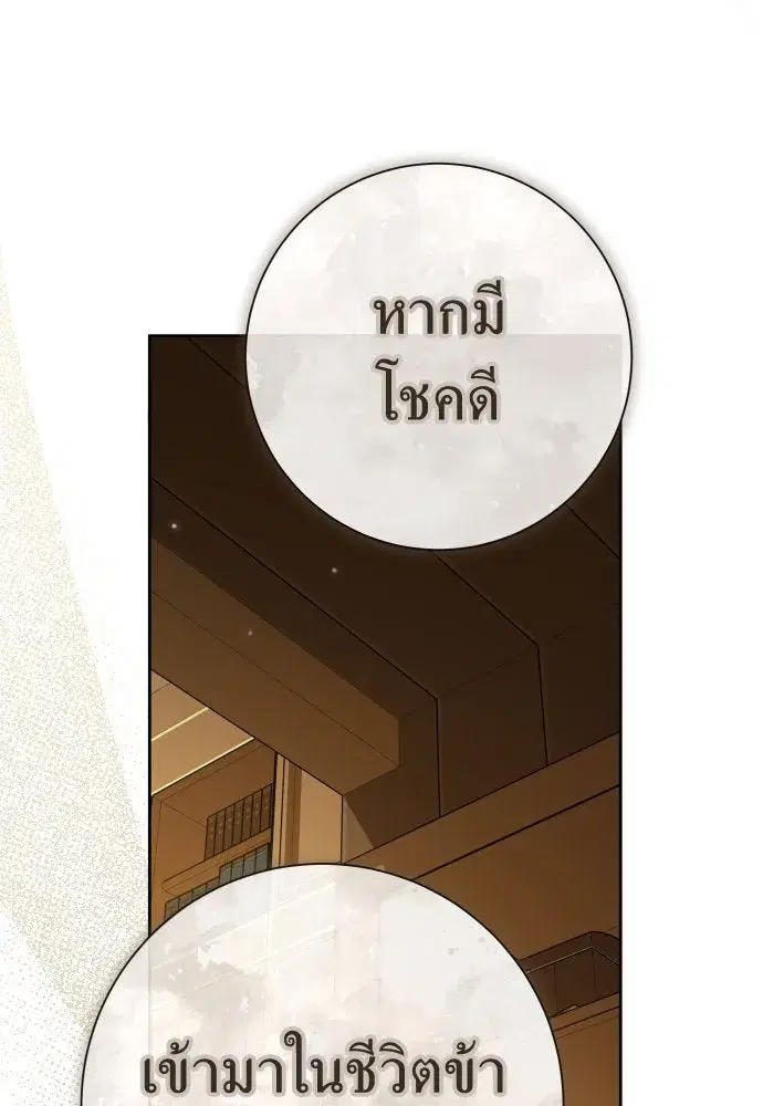 หน้า 29 จาก 163