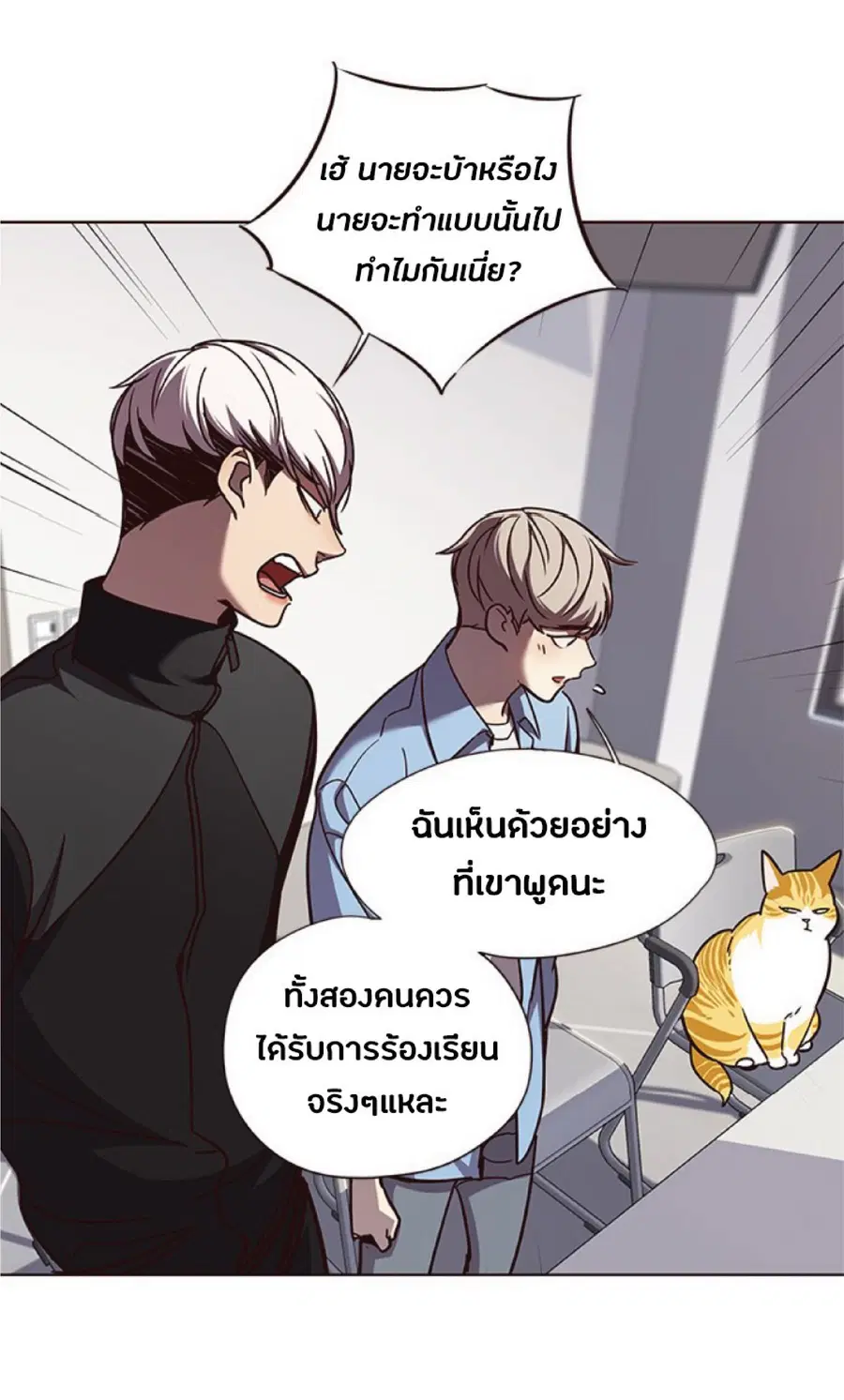 หน้า 31 จาก 81