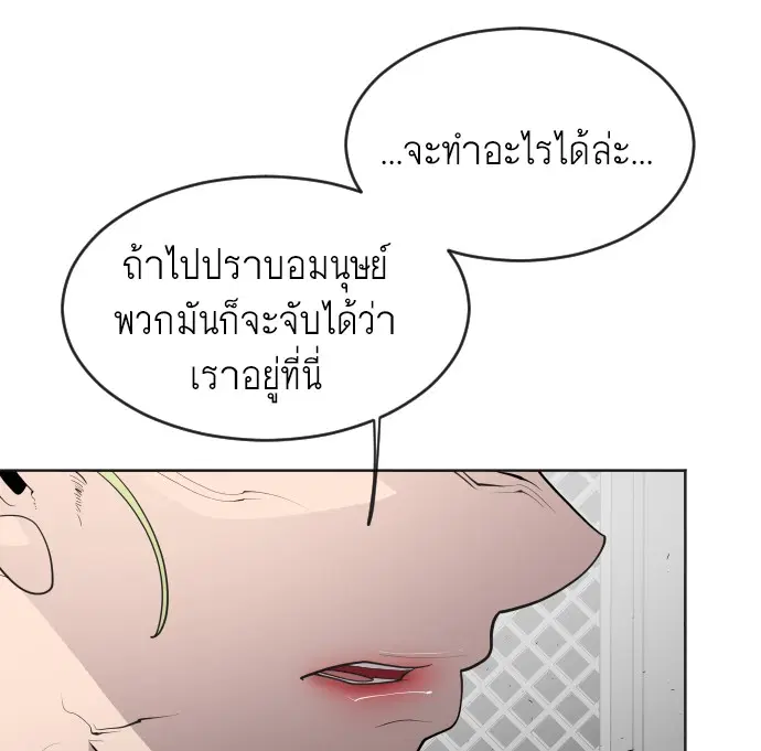 หน้า 41 จาก 101