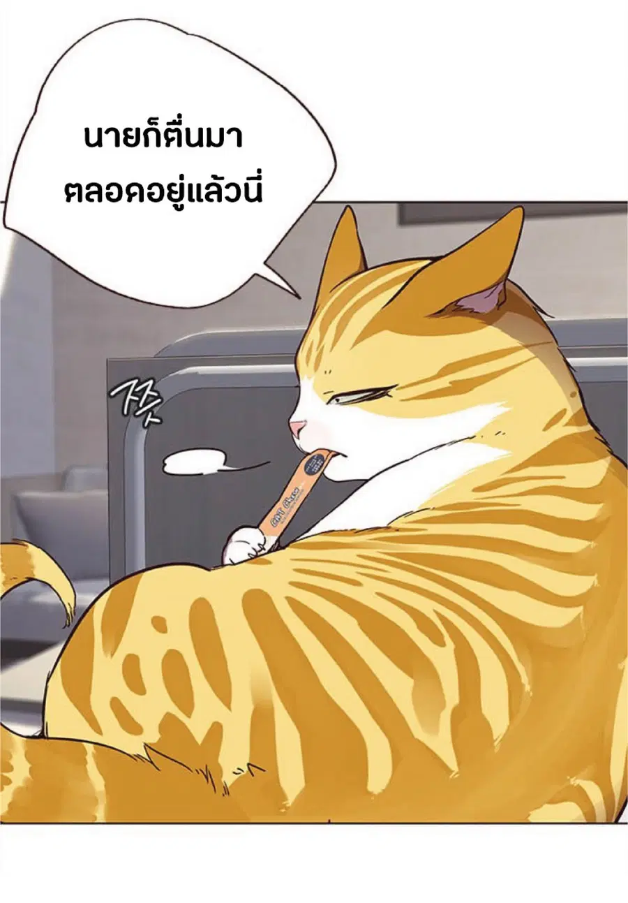 หน้า 17 จาก 96