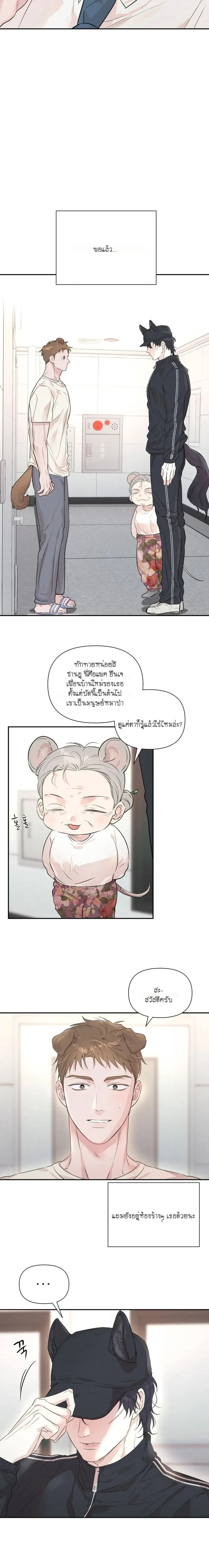หน้า 8 จาก 18