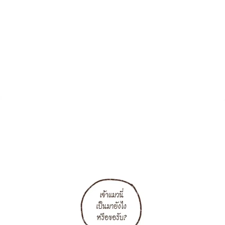 หน้า 49 จาก 64