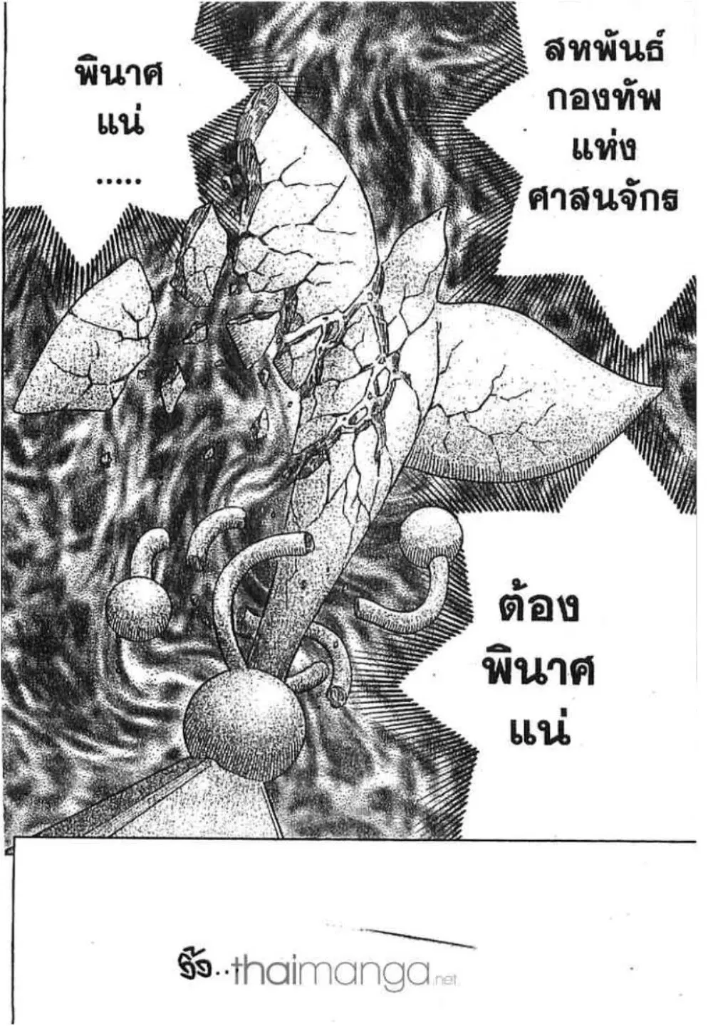 หน้า 12 จาก 24