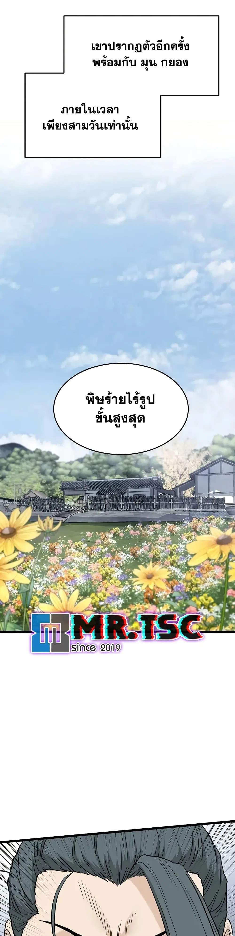 หน้า 26 จาก 50