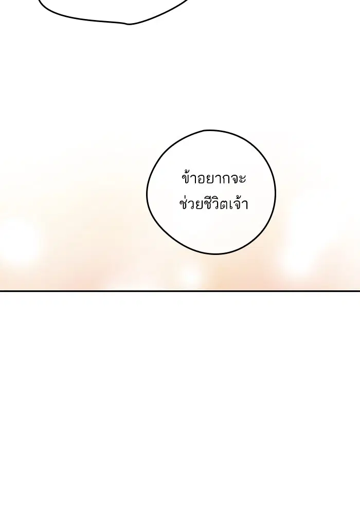 หน้า 8 จาก 104