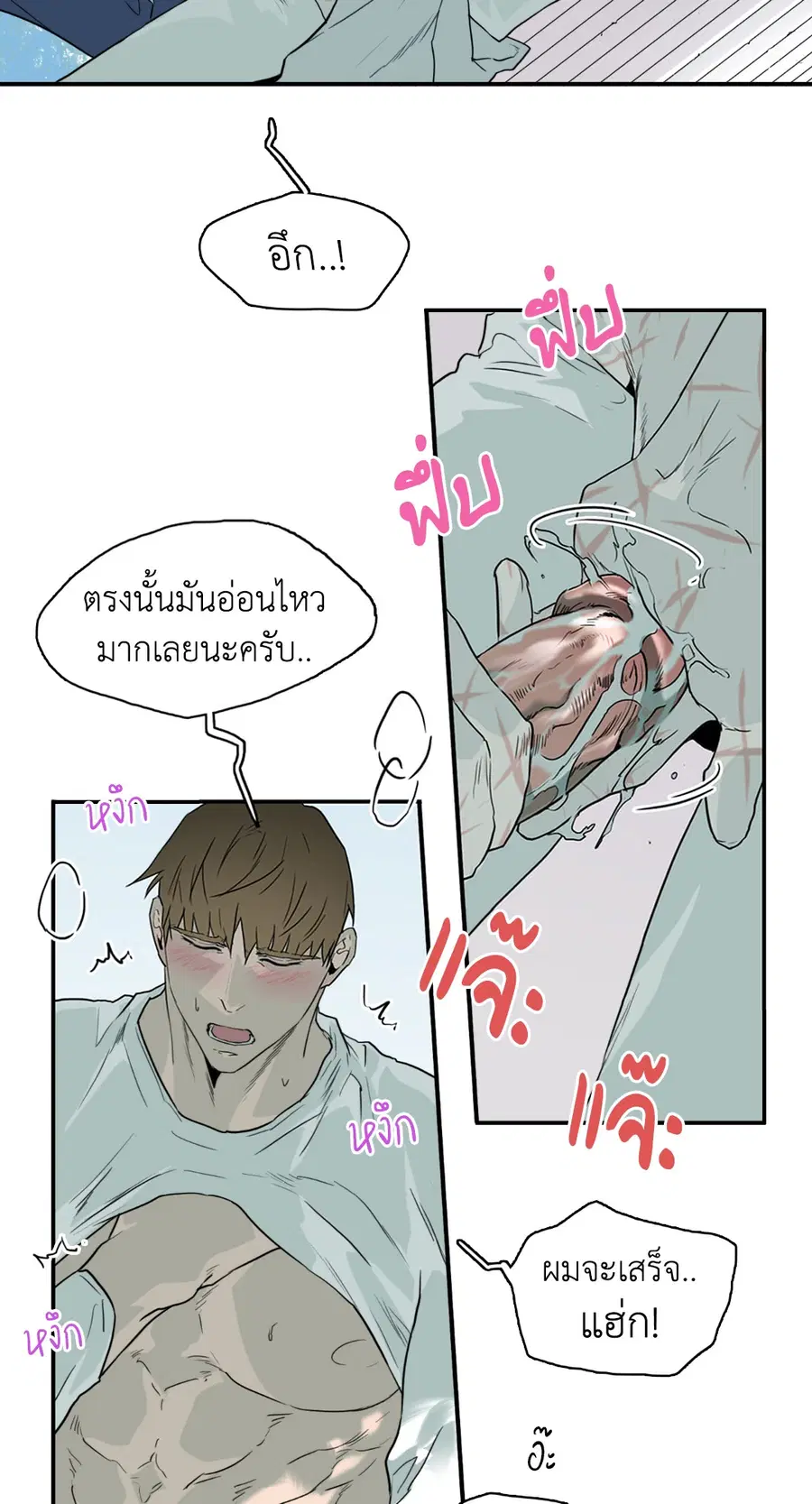 หน้า 13 จาก 66